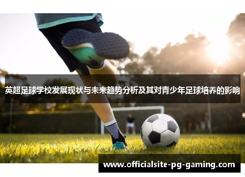 英超足球学校发展现状与未来趋势分析及其对青少年足球培养的影响