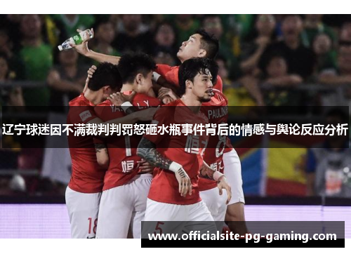 辽宁球迷因不满裁判判罚怒砸水瓶事件背后的情感与舆论反应分析