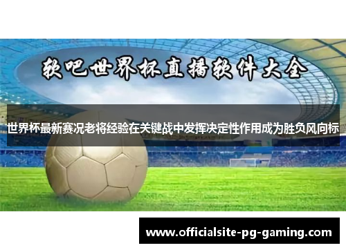 世界杯最新赛况老将经验在关键战中发挥决定性作用成为胜负风向标