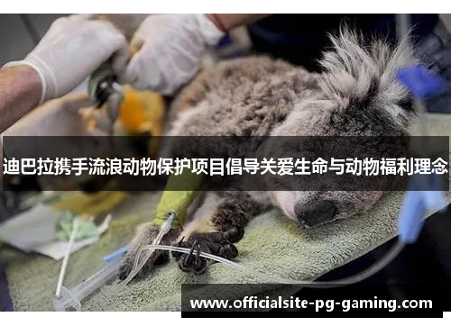 迪巴拉携手流浪动物保护项目倡导关爱生命与动物福利理念 迪巴拉携手流浪动物保护项目倡导关爱生命与动物福利理念